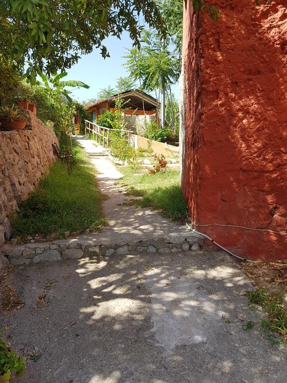 Double or Twin Room Garden View