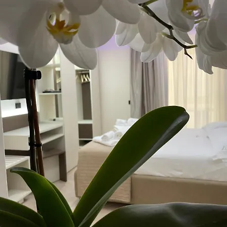 B&B L'Orchidea-2